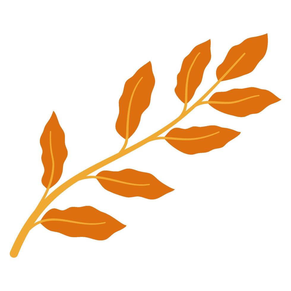 Autumn leaf illustration vector