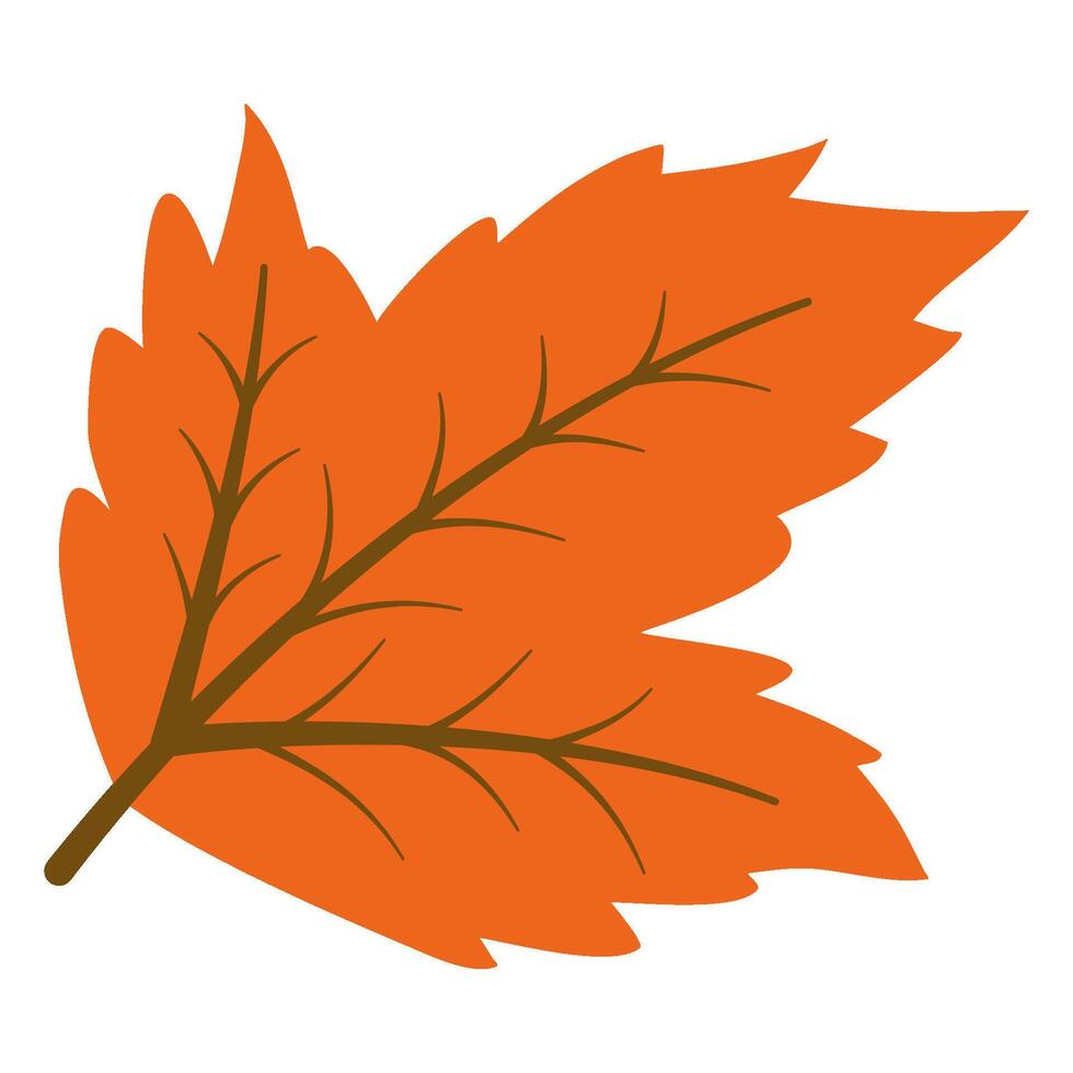 Orange maple leaf vector