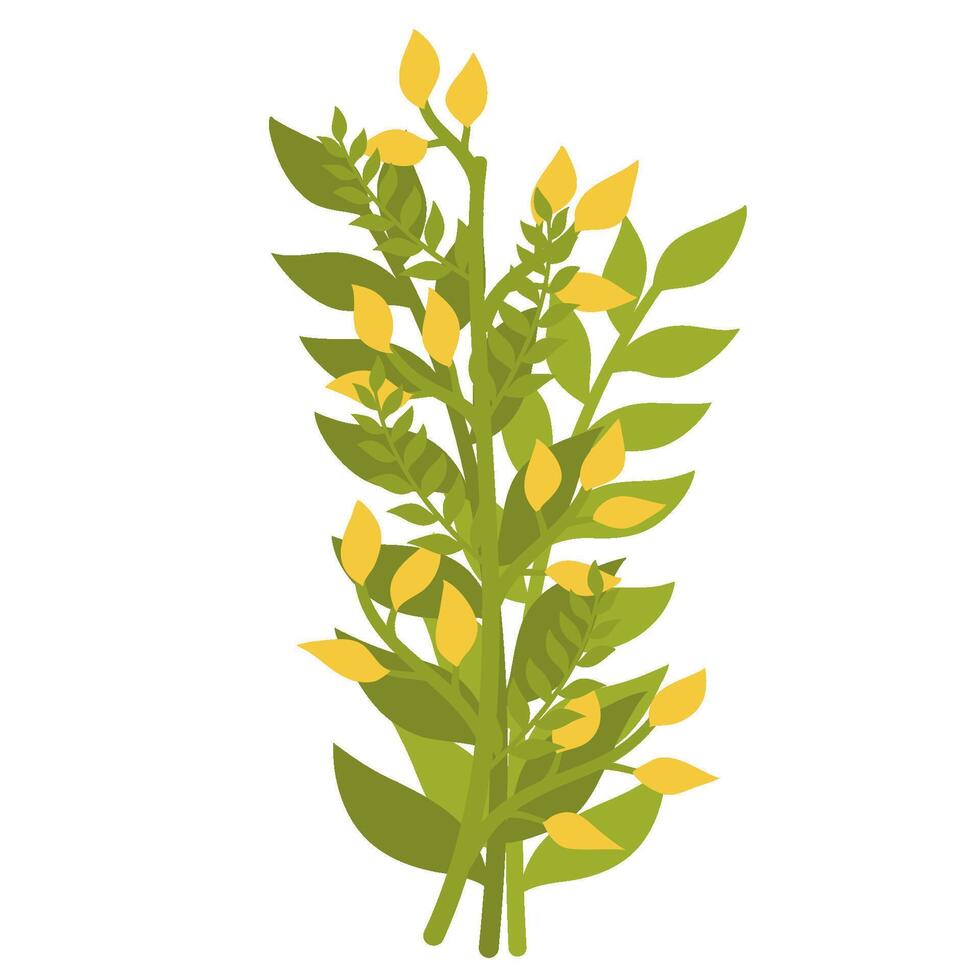 a green plant with yellow flowers on it vector