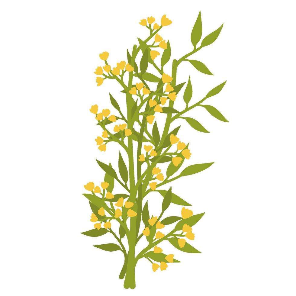 yellow flowers on a branch vector
