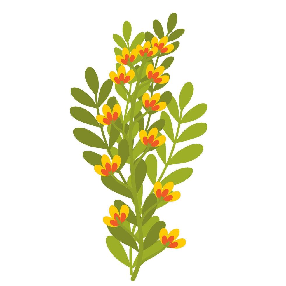 flowers and leaves of a plant vector