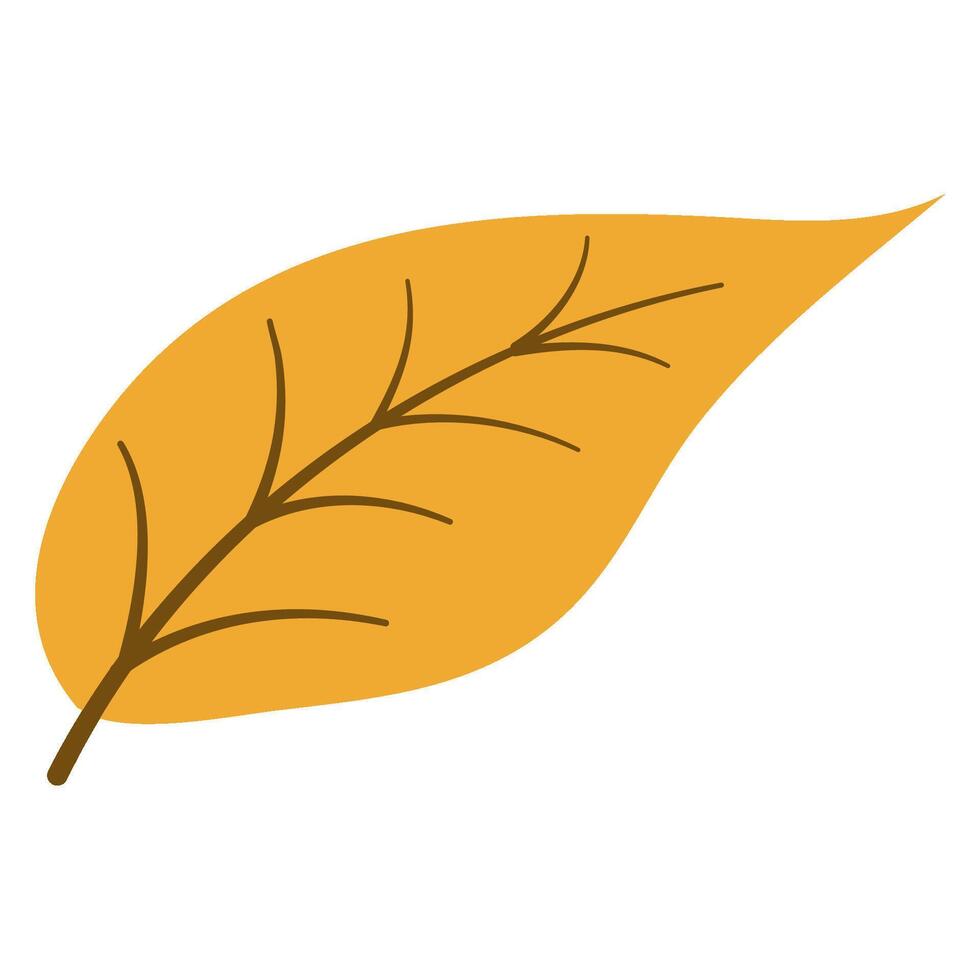 An autumn leaf vector