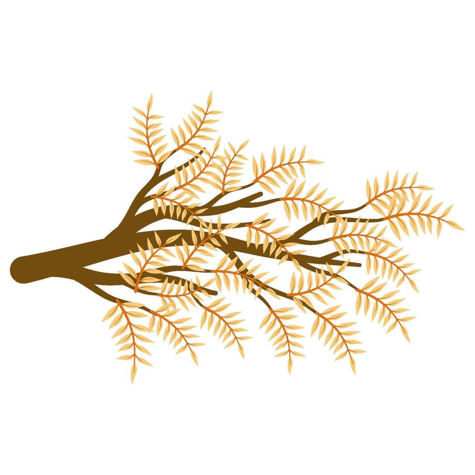autumn branch with leaf vector