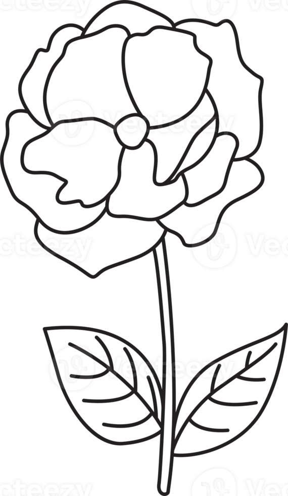 Flower drawing clip art png