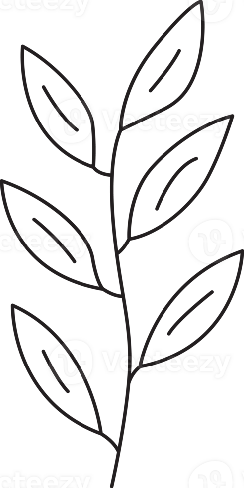 Branch drawing clip art png