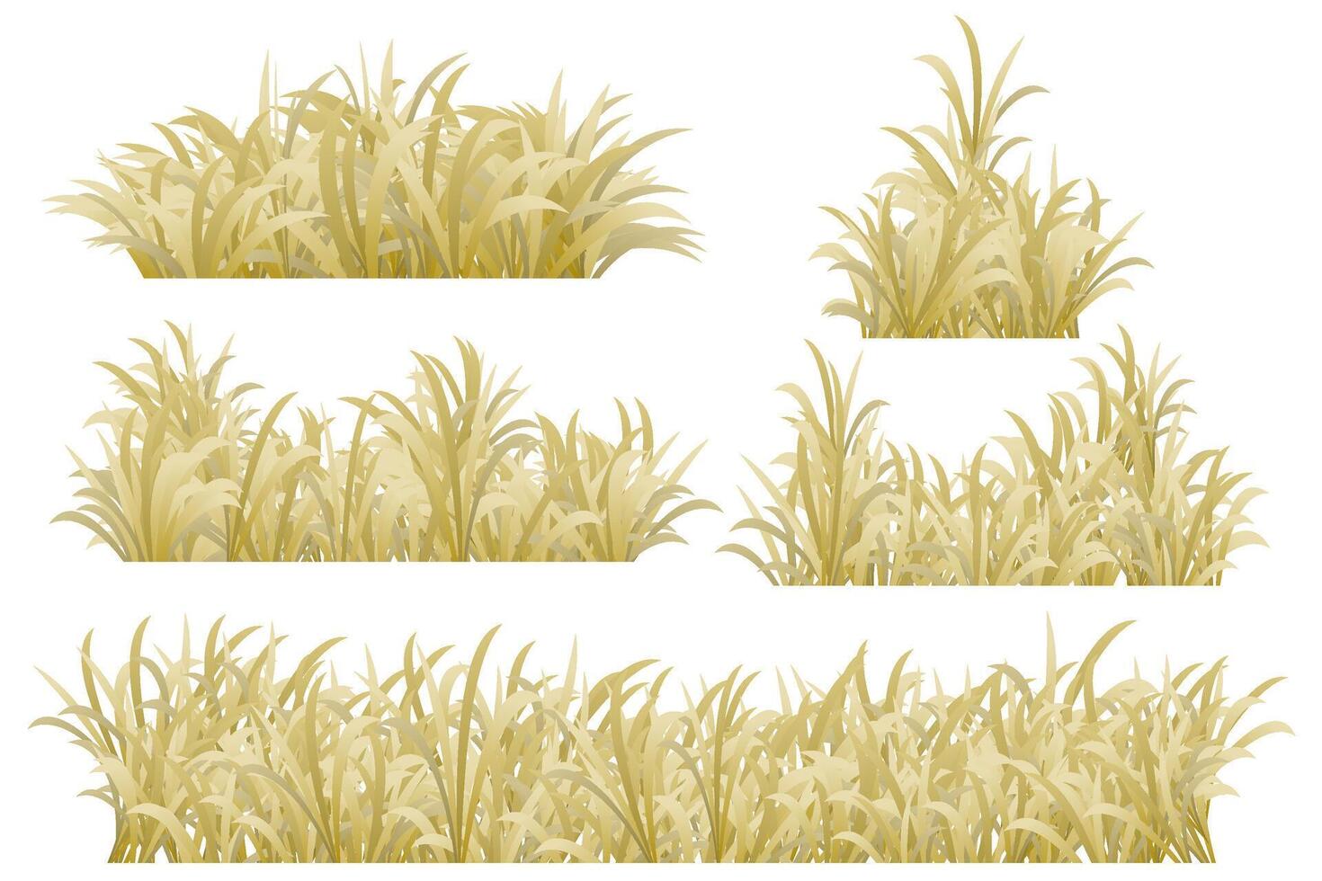 Set of grasses vector