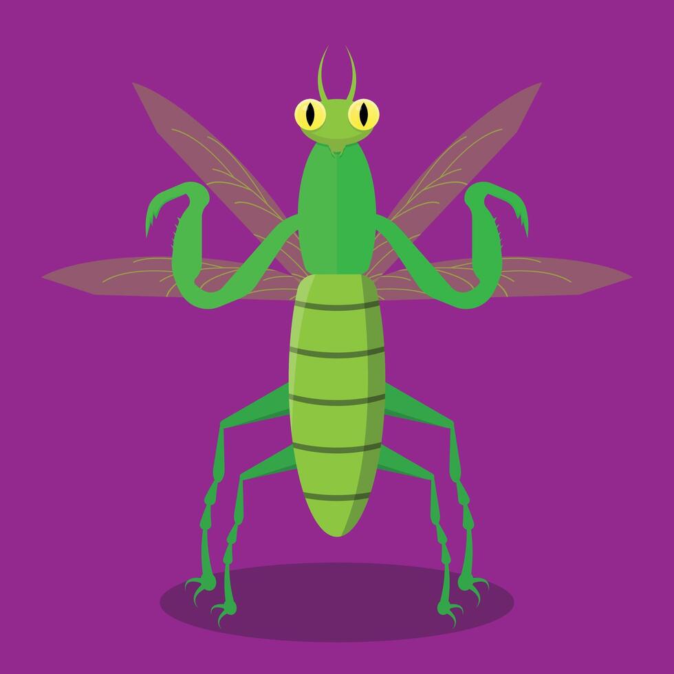 A cartoon grasshopper with big eyes and long legs vector