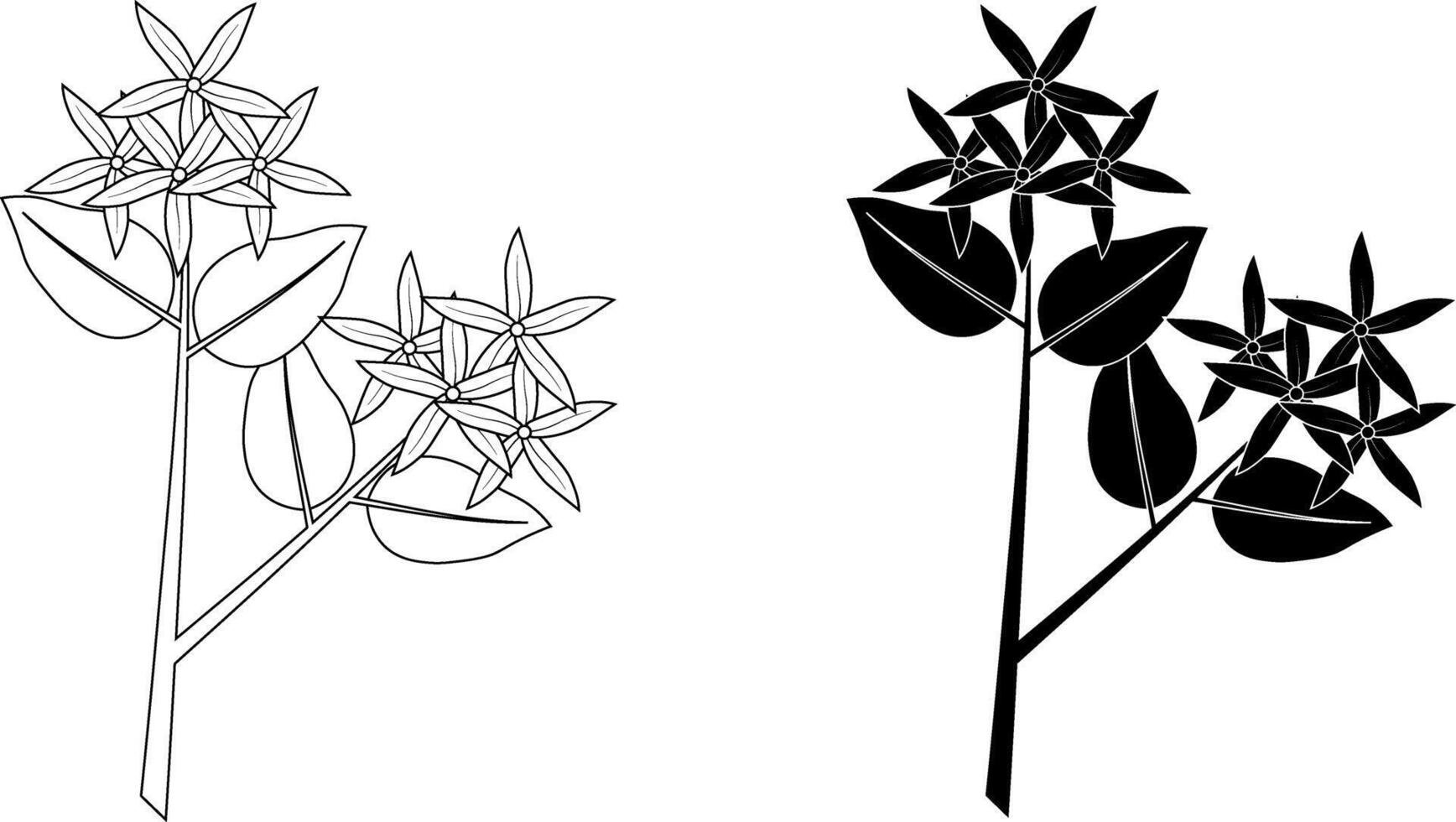 outline silhouette jasmine branch icon set vector