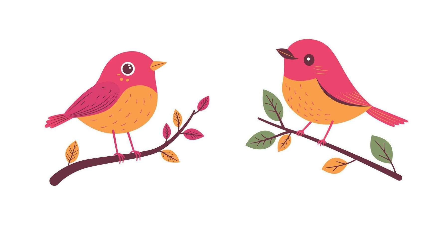 A Pair of Funny Red Robin Bird Animal Perched on Tree Branch vector