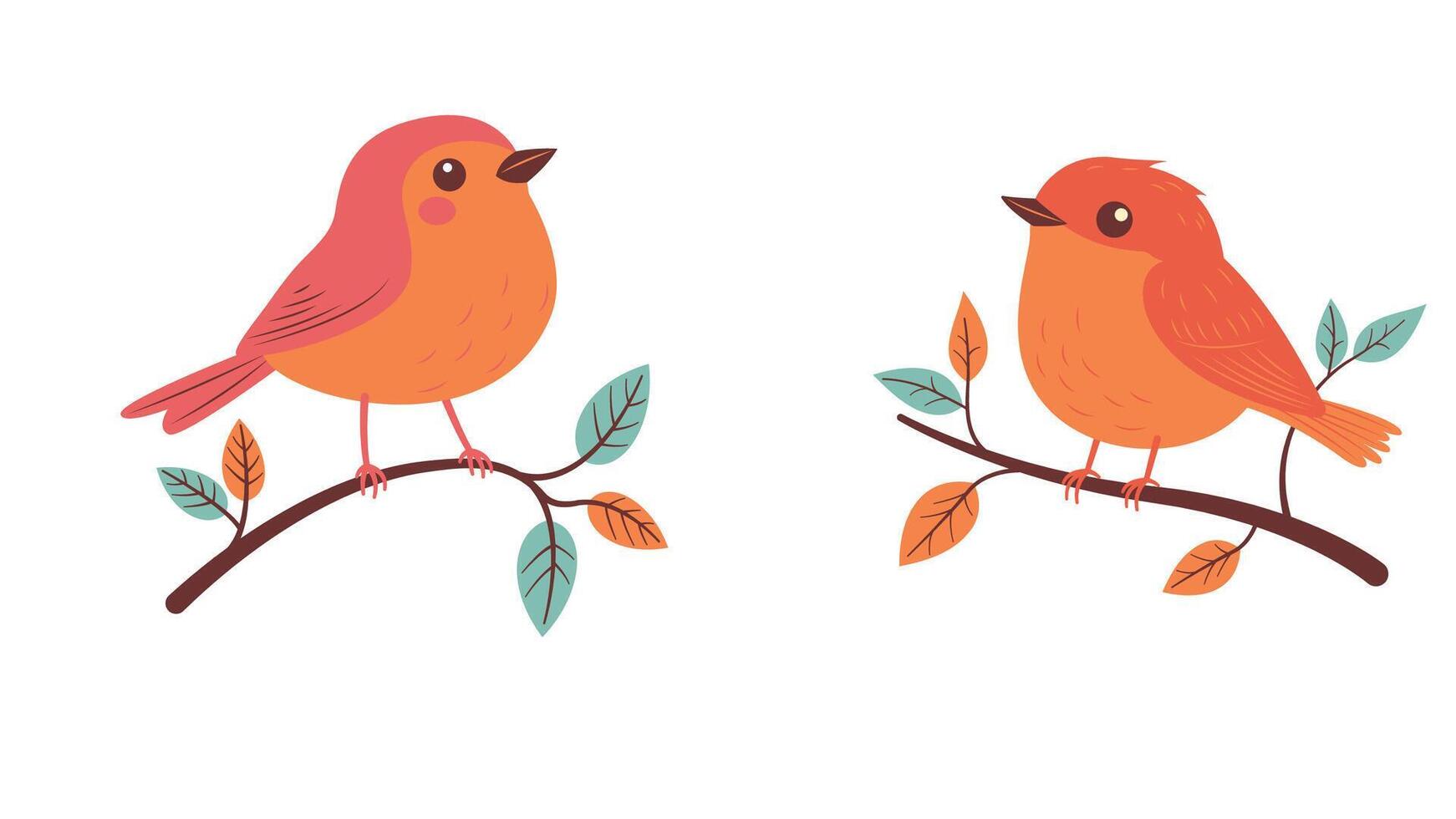 A Pair of Cute Orange Robin Bird Animal on Tree Branch vector