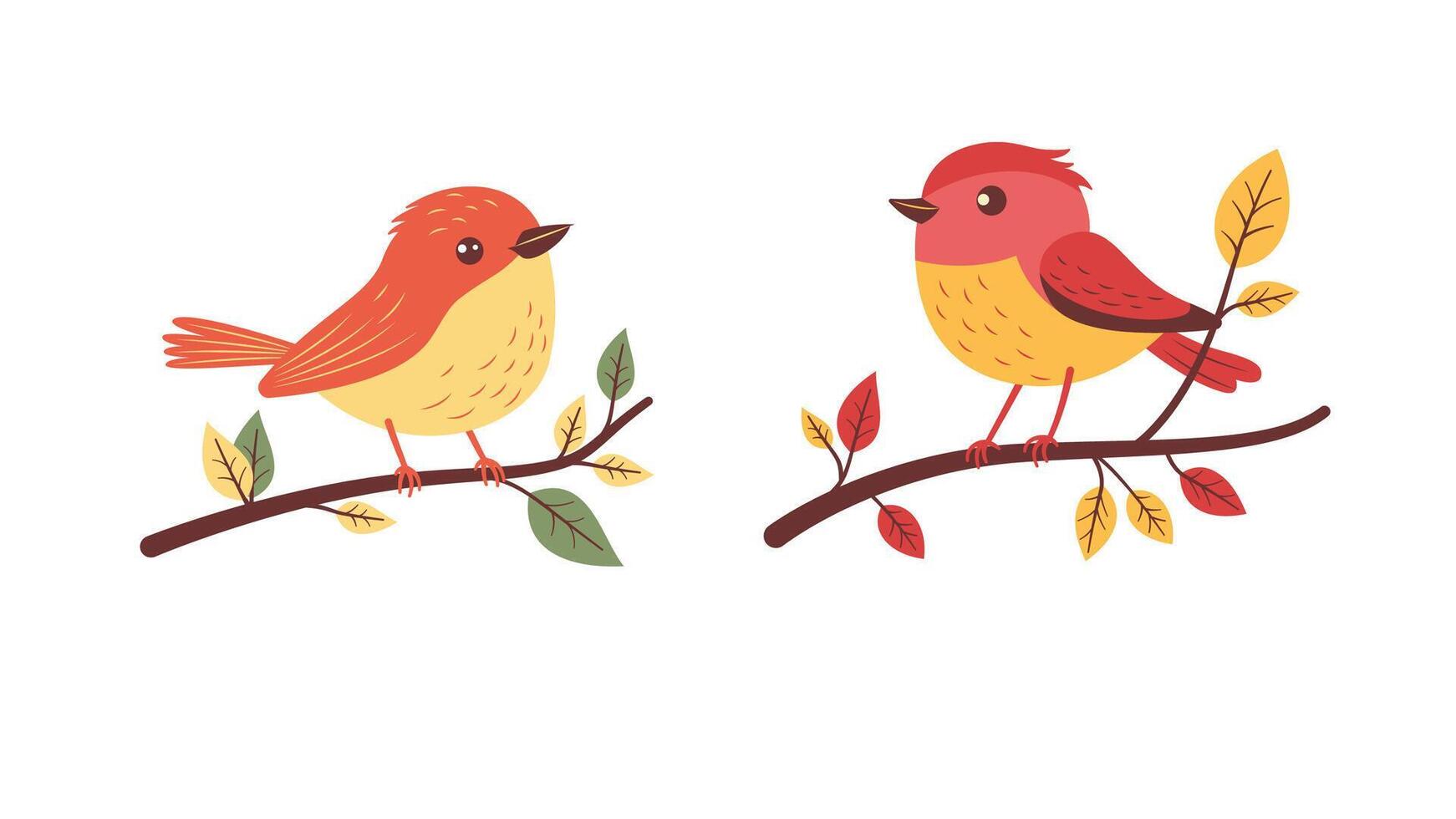 A Pair of Adorable Orange Robin Bird Animal Perched on Tree Branch vector