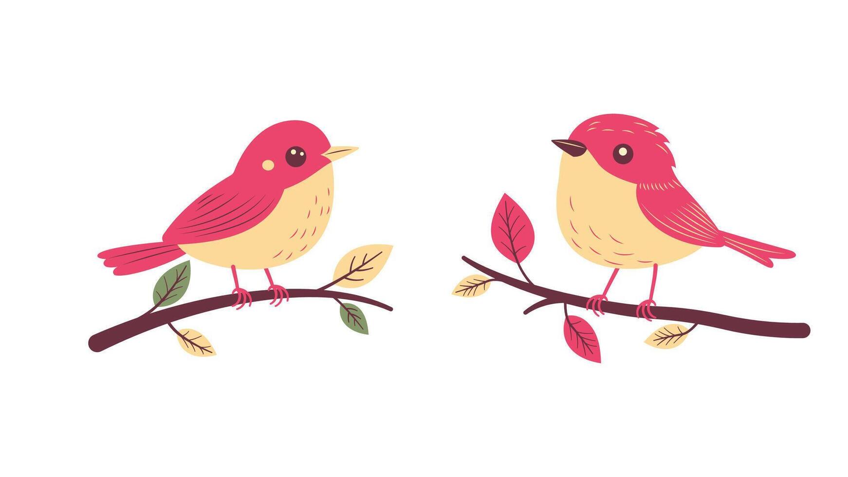 A Pair of Cute Red Robin Bird Animal on Tree Branch in the Park vector