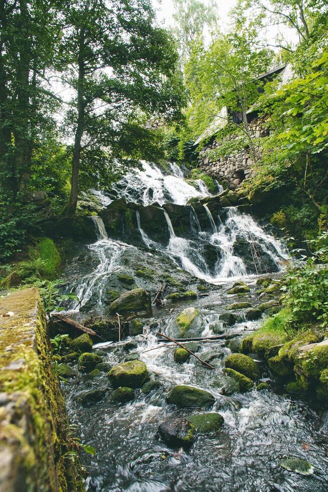 Small waterfall in Sweden. Moss-covered stones. Forest on the river bank. Scandinavian photo