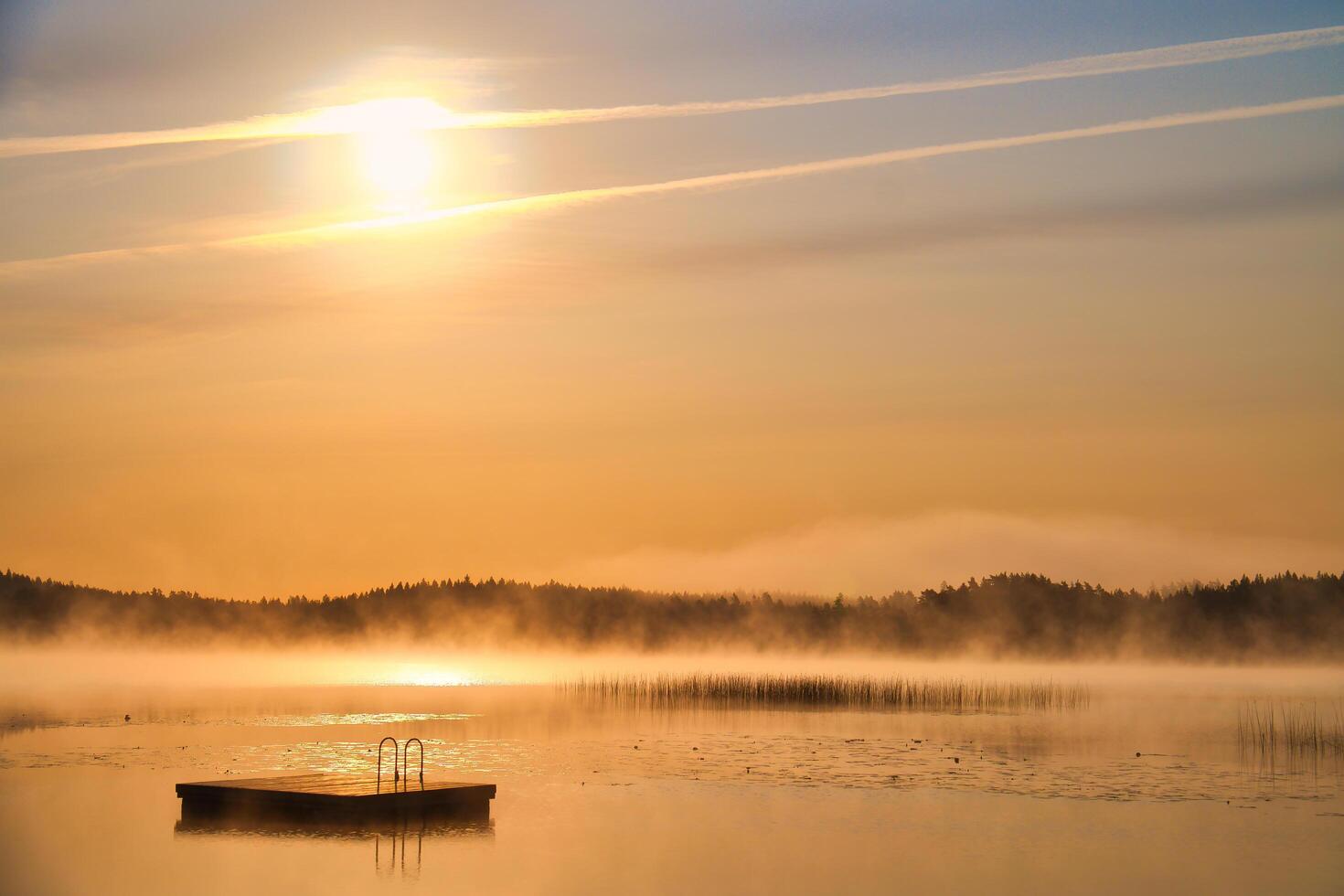 Floating island in the morning in the fog on a Swedish lake. Forest in the background photo