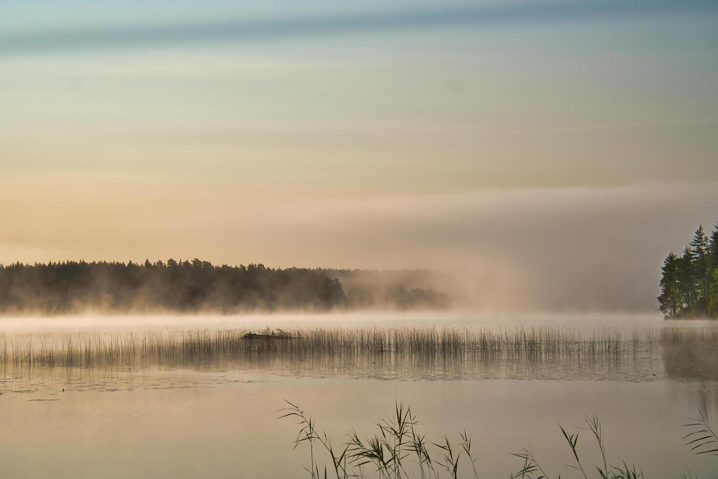 Sunrise with fog forming over a lake in Sweden, at dawn. Romantic silence photo