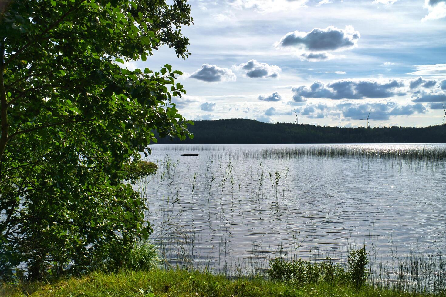 View of a lake in Smaland in Sweden. Blue water with light waves and reeds. Sky photo
