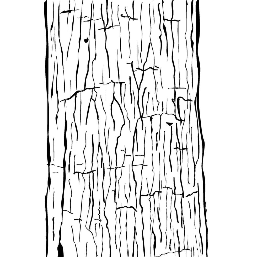 wood skin texture background vector