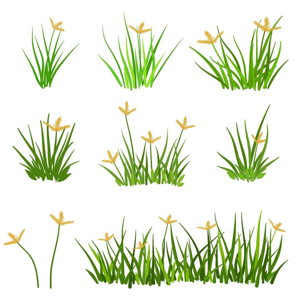 Set of grass cartoon element vector