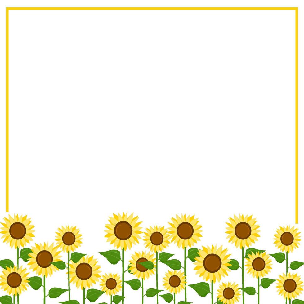sunflowers background for seasonal or social media design vector