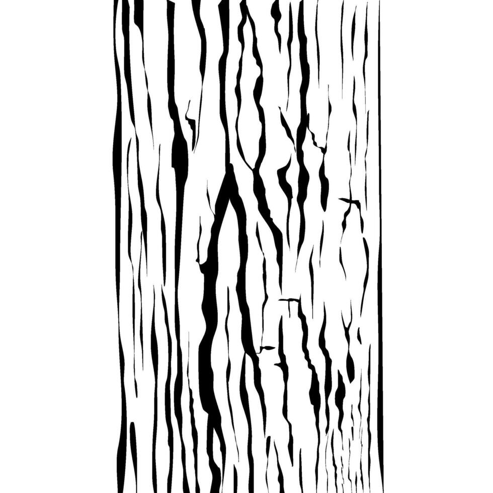 wooden bark texture material vector