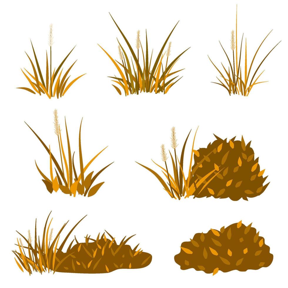 Set of grass cartoon element, dry grass vector
