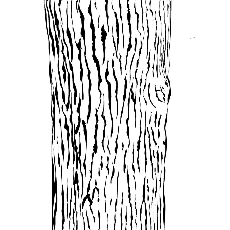 wood skin texture background, nature element vector