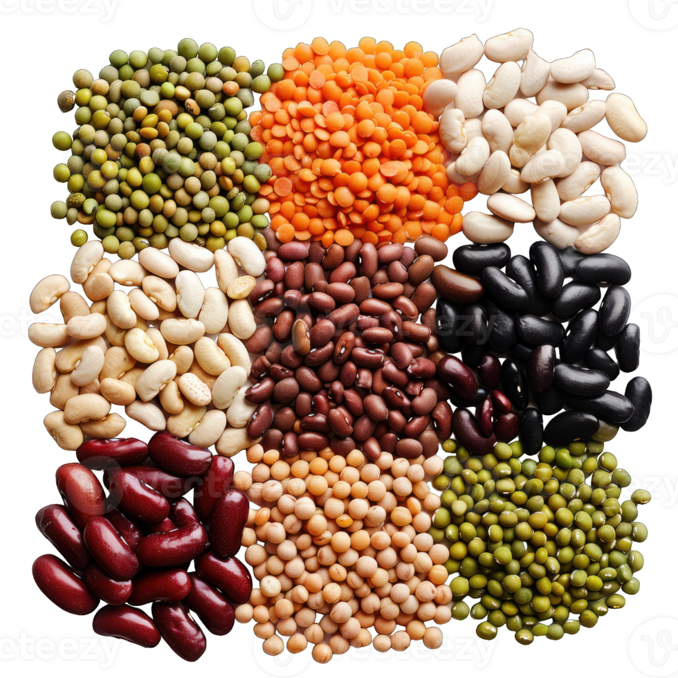 collection of different cereals transparent background png