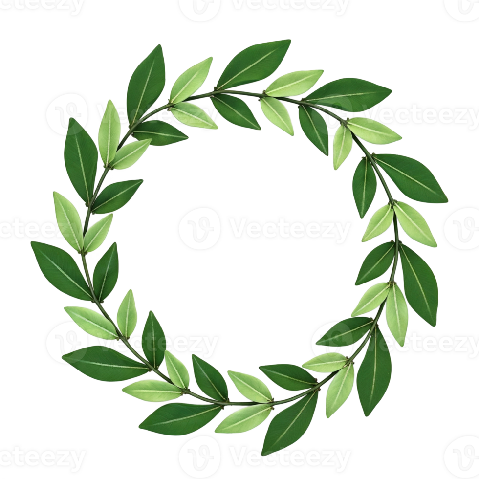 A Circular Laurel Wreath of Green Leaves png