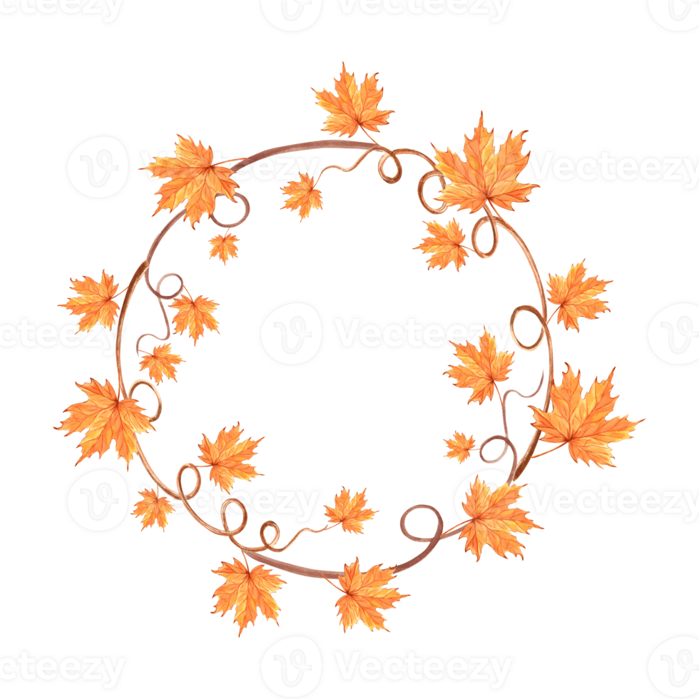 Autumn maple leaves and twigs wreath. Fall frame round for Harvest fest. Hand drawn watercolor illustration isolated. Natural background. Template with copy space for Thanksgiving, postcard, sticker. png