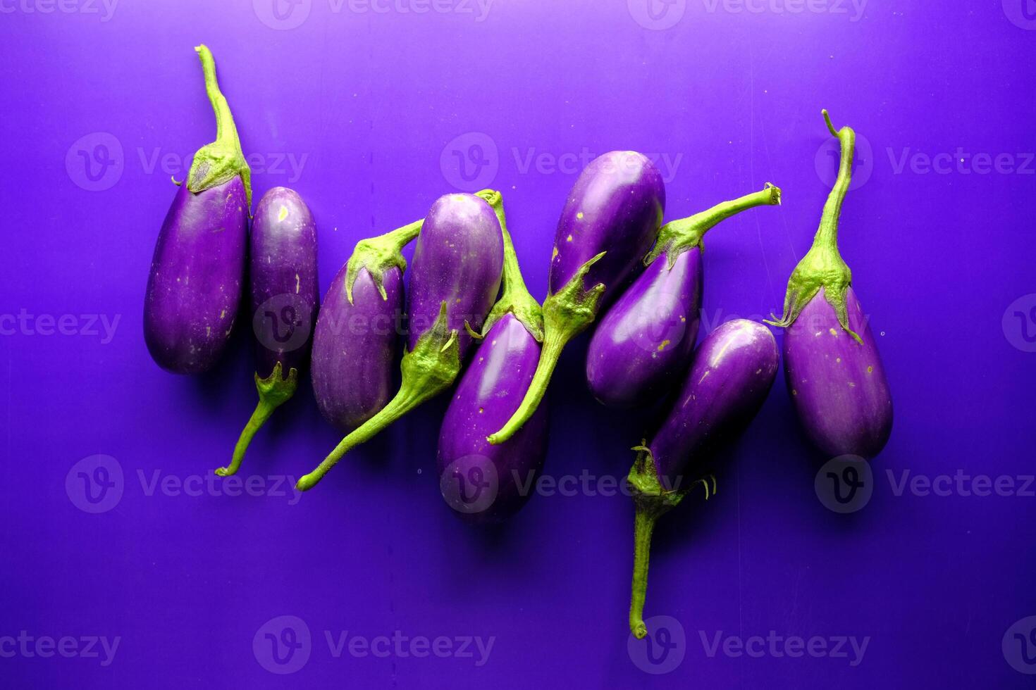 Fresh and Vibrant Eggplants Set Against a Beautiful Purple Background Vibrantly Highlighted photo