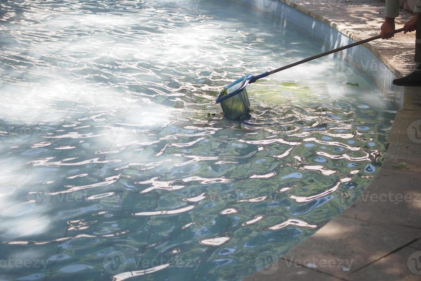 Effectively Cleaning a Swimming Pool Using a Leaf Skimmer for a Pristine Swimming Experience photo