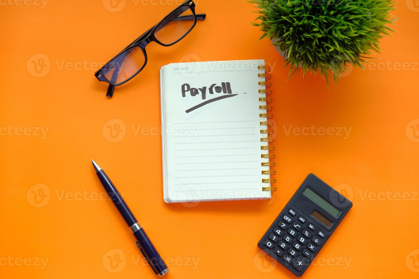 Payroll Management Essentials Key Tools and Organization Strategies for Achieving Success photo