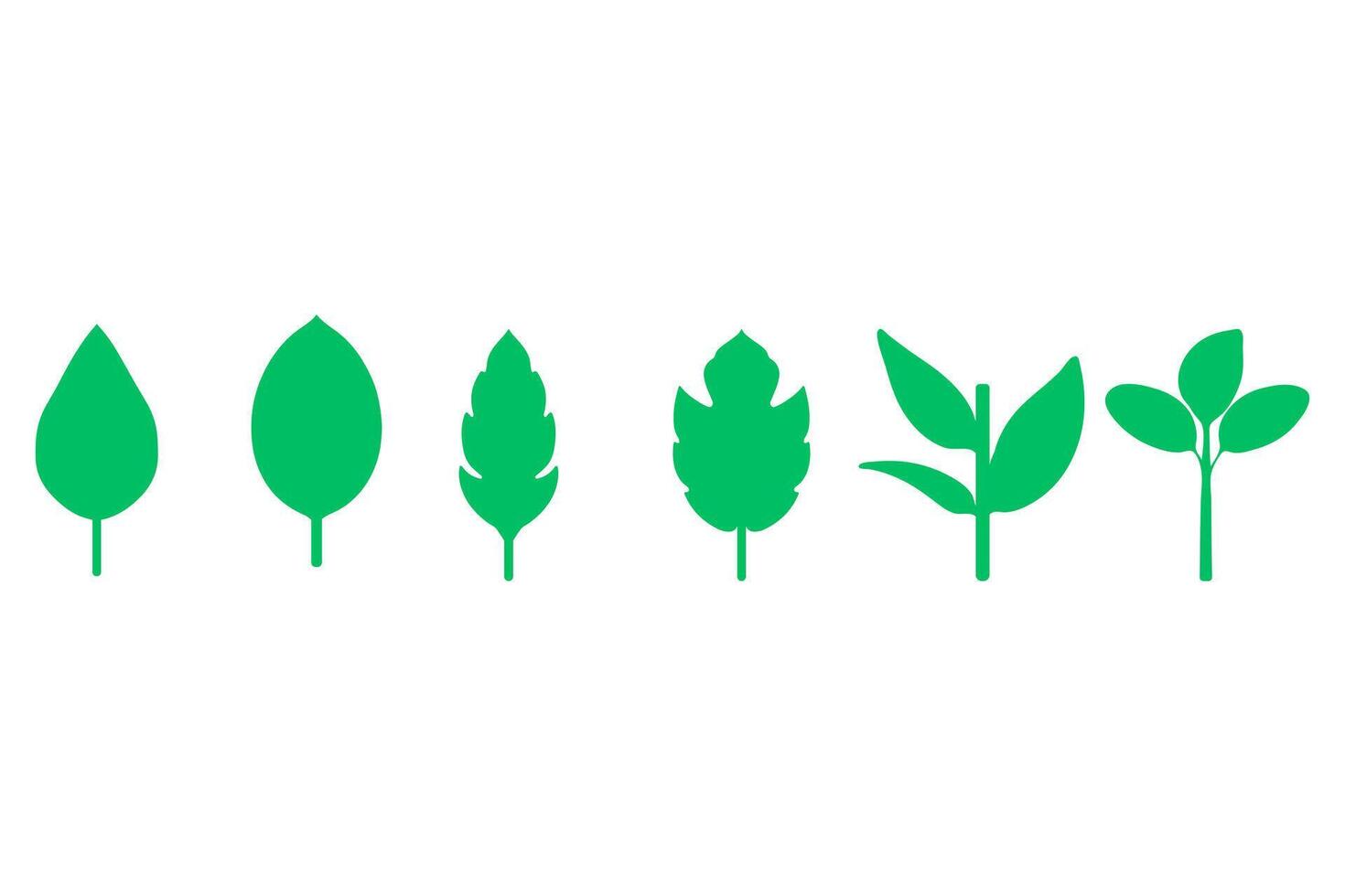 A set of green leaves on a white background vector