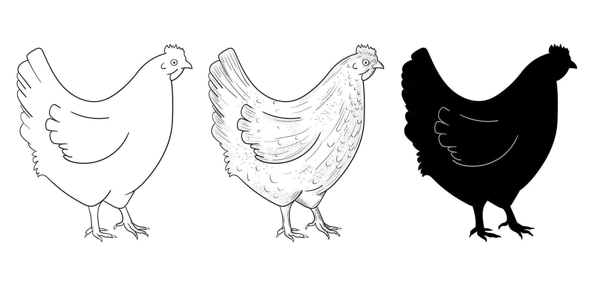 Set of sketches of a chicken. Silhouette of a chicken. Engraving. Rural natural bird farming. vector