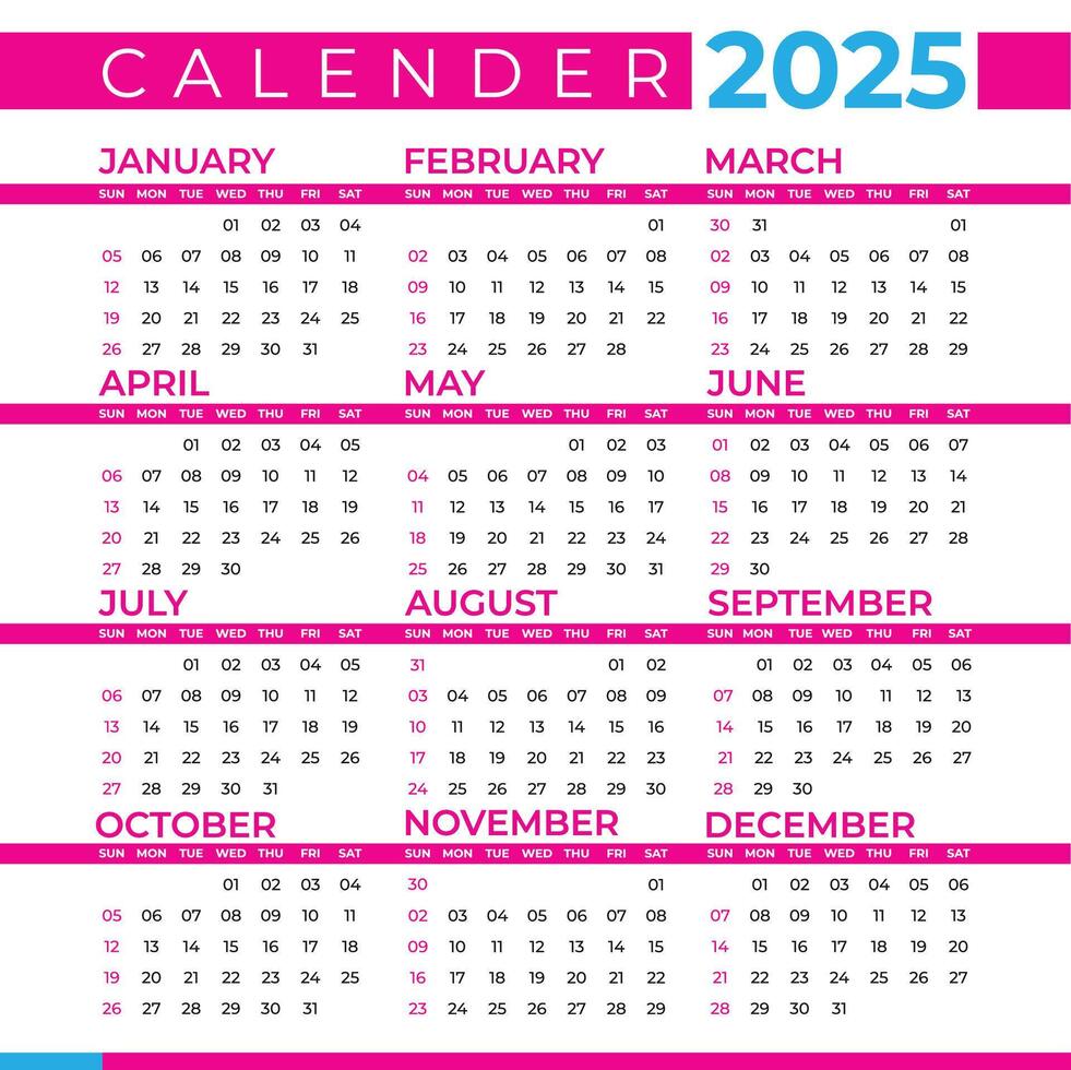 Calendar for 2025 isolated on a white background vector
