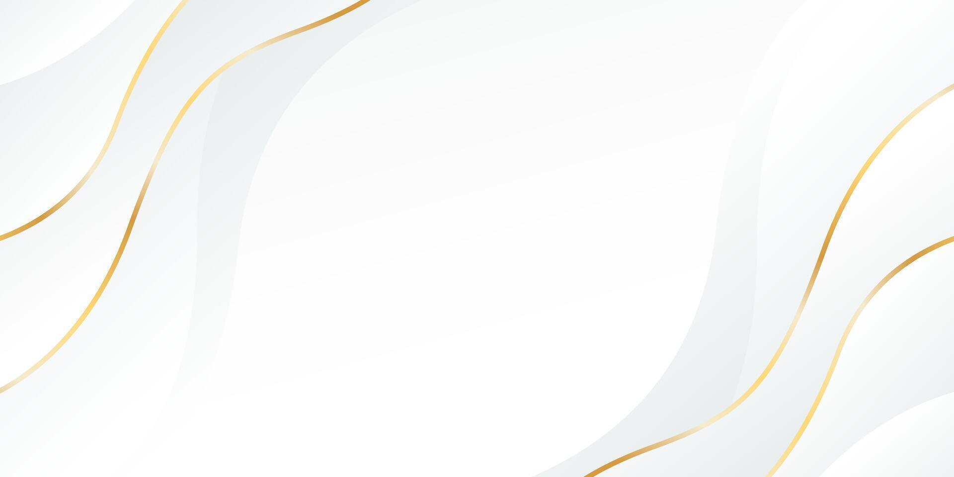 Abstract white luxury background . Gold lines wave shapes vector
