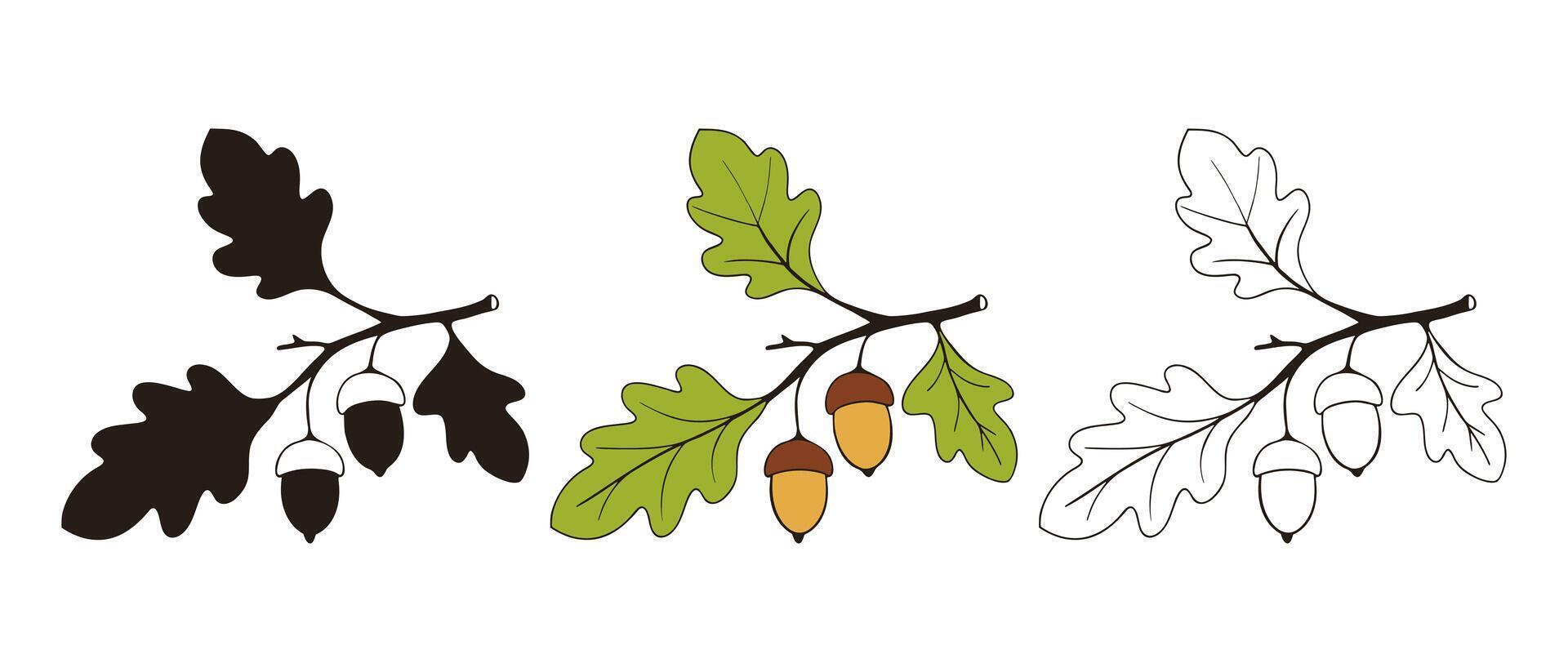 Oak branch with leaves and acorns, icon set drawing, lineart contour and silhouette. Isolated on white background. vector