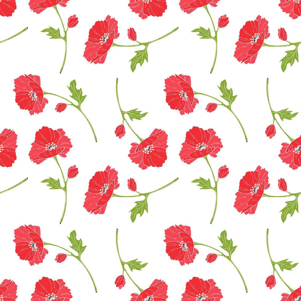 Poppies flowers pattern on white background. vector