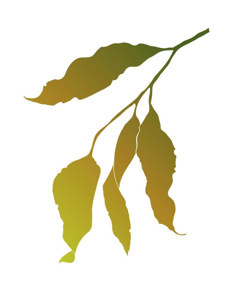 Autumn gradient leaves on slender branch, isolated on white background. vector