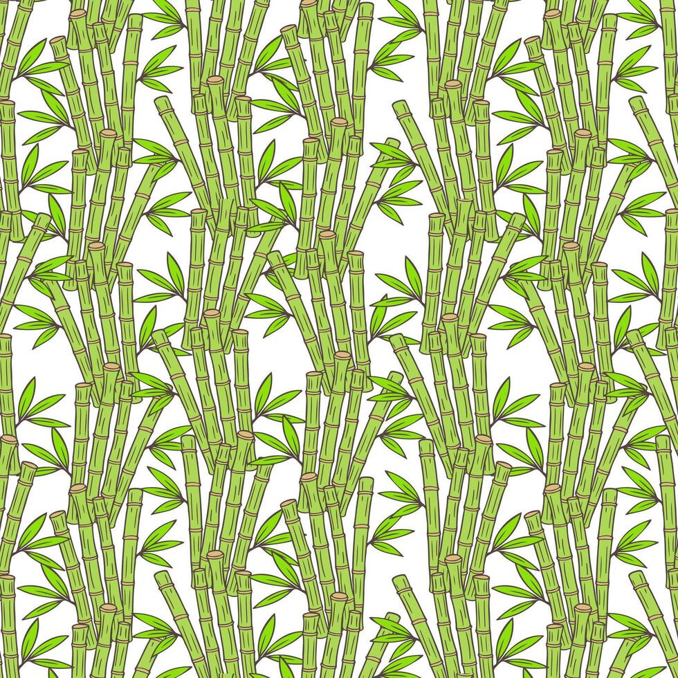 Bamboo green pattern, sticks bamboo and leaf shoots, hand drawn bamboo doodles on white background. vector