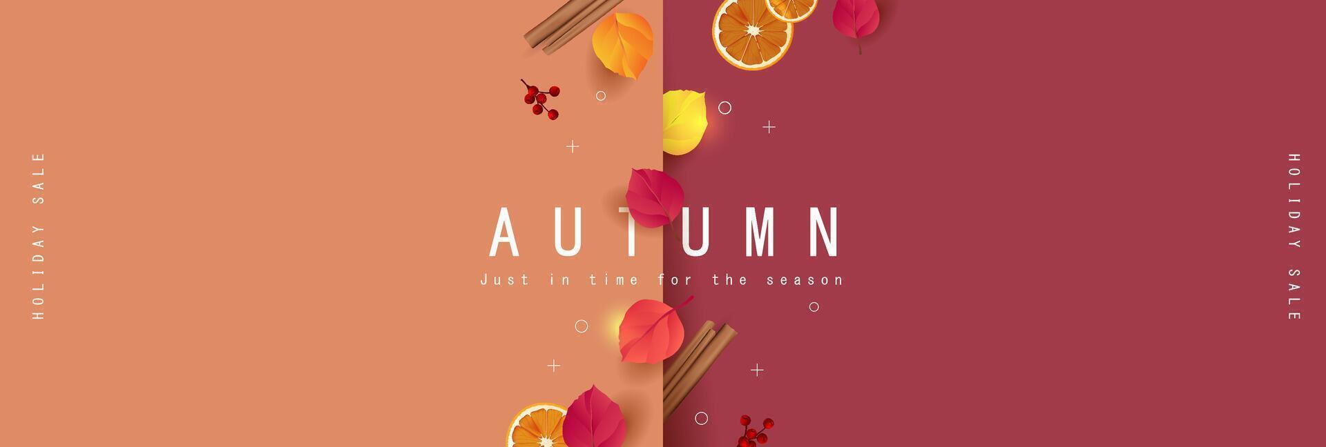Autumn gift promotion coupon banner background decorated with autumn leaves and seasonal decorations. vector