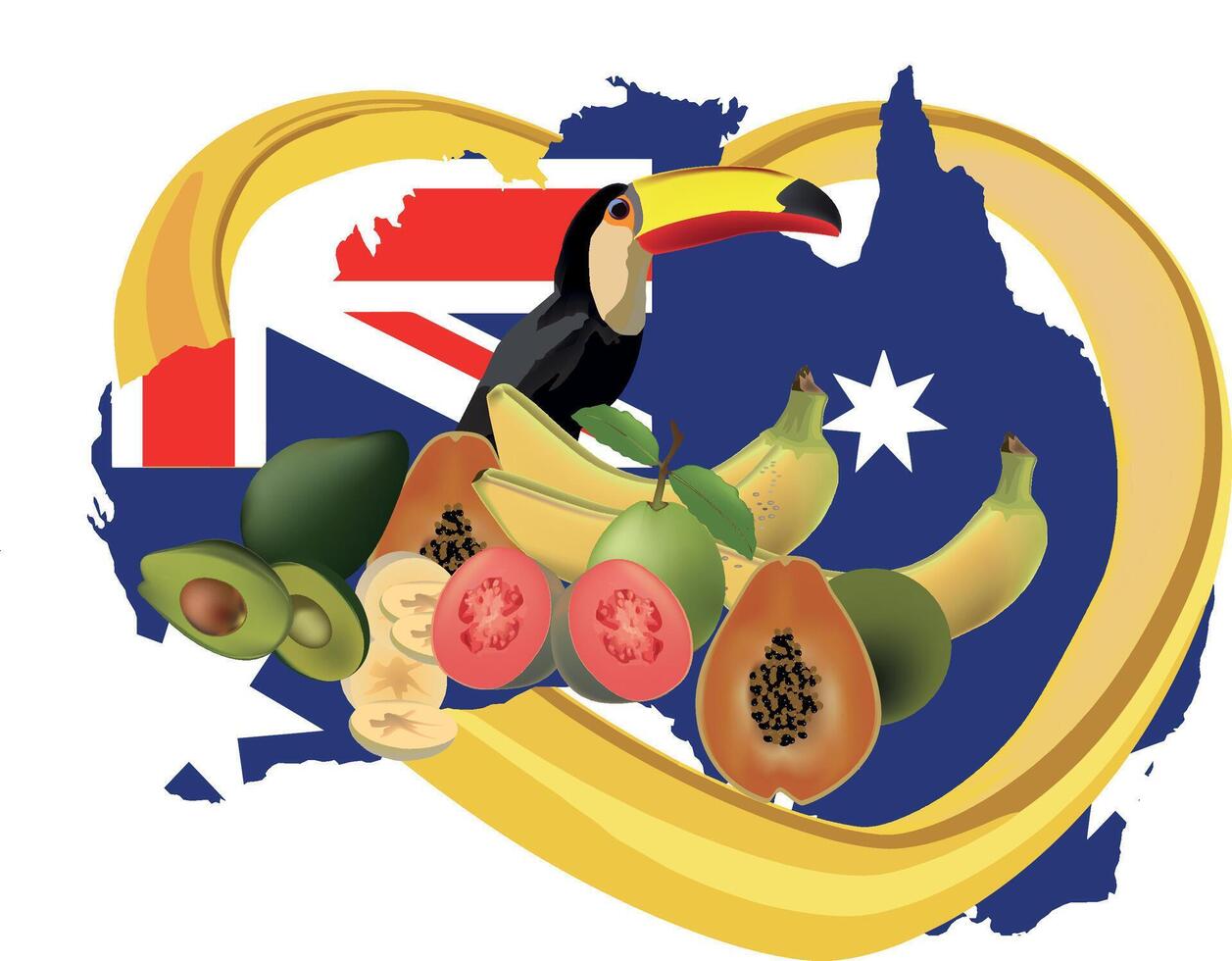 Toucan enjoying delicious australian tropical fruits and national flag vector