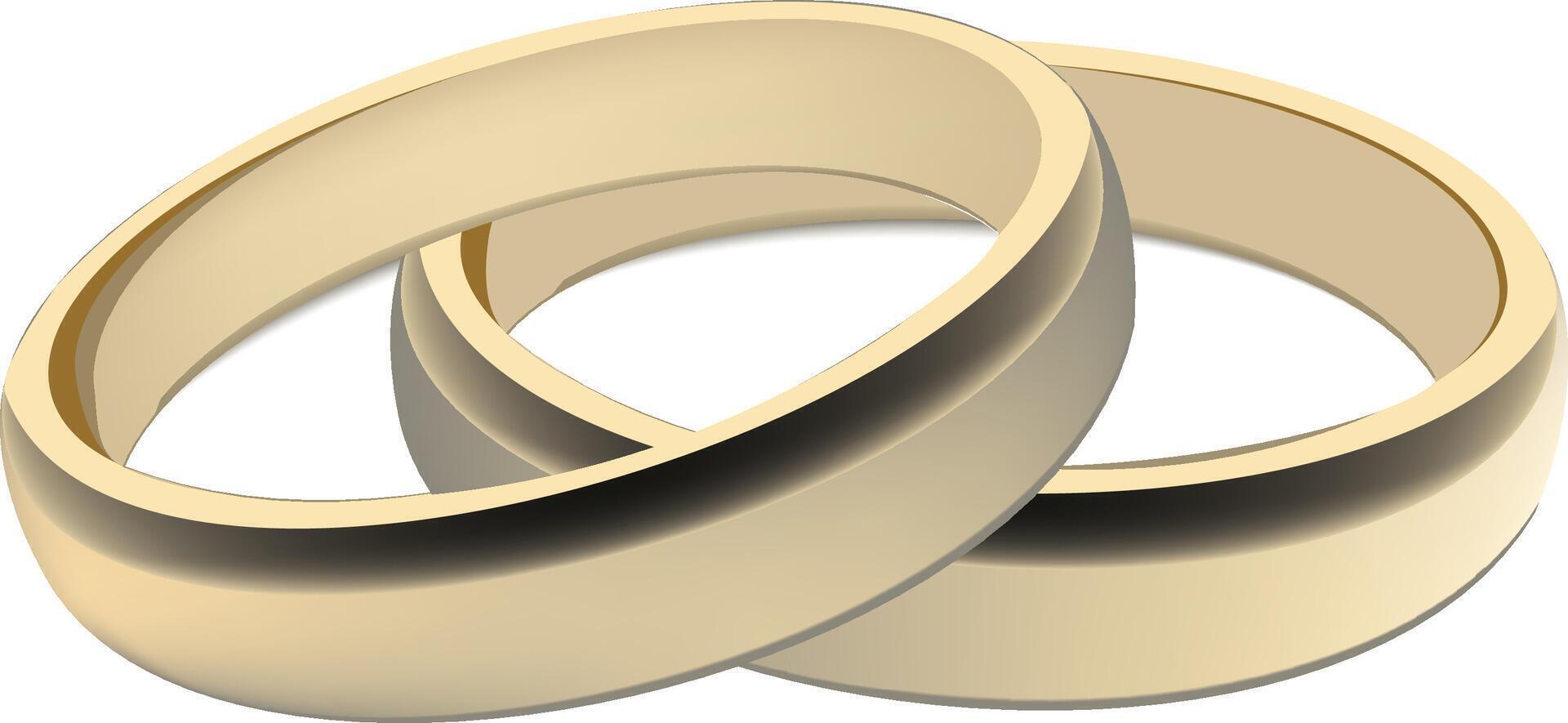 Two golden wedding rings intertwined symbolizing love vector