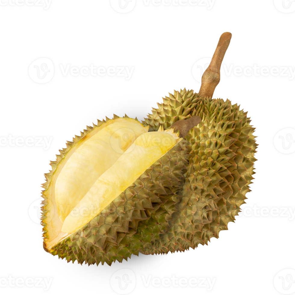 Durian, cutout, full depth of field png