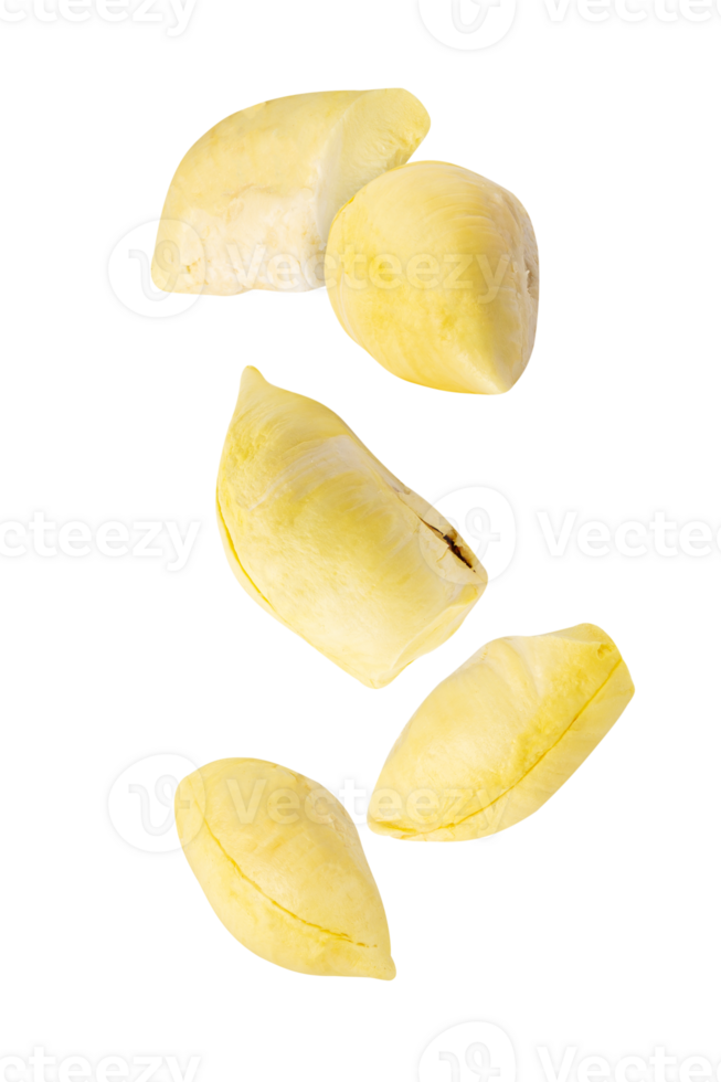 Falling Durian, cutout, full depth of field png