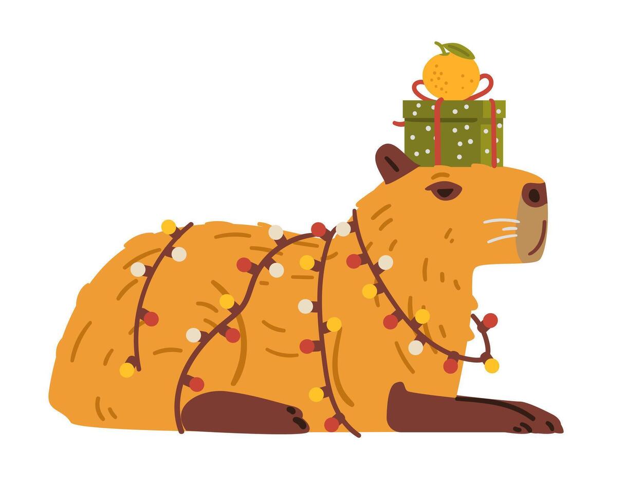 Cute capybara wrapped in garland with lights holding gift box and tangerine on it's head flat illustration isolated on white. vector