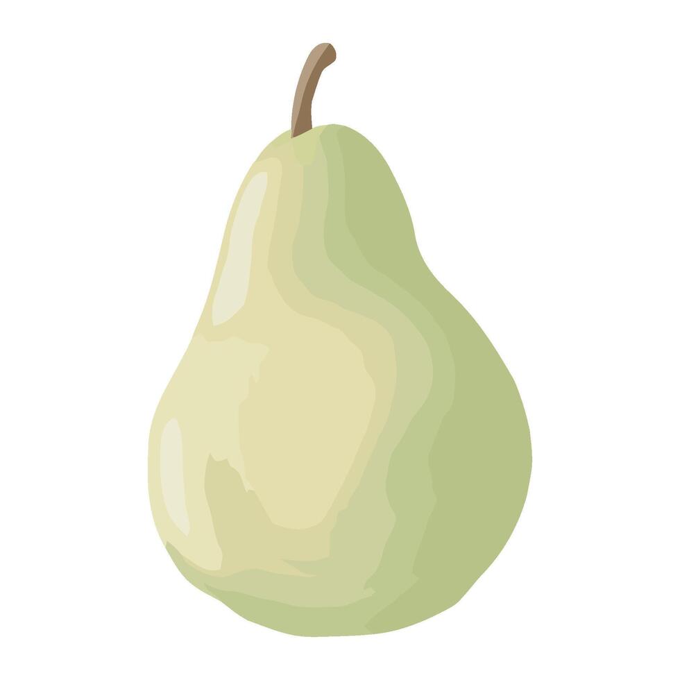 A pear is shown on a white background vector