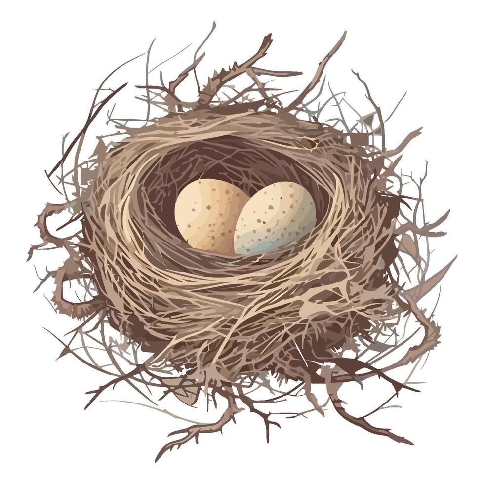 Organic bird nest celebrates springtime with eggs isolated vector
