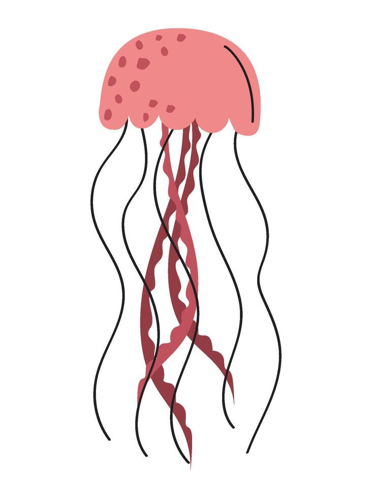 Jellyfish animal illustration vector