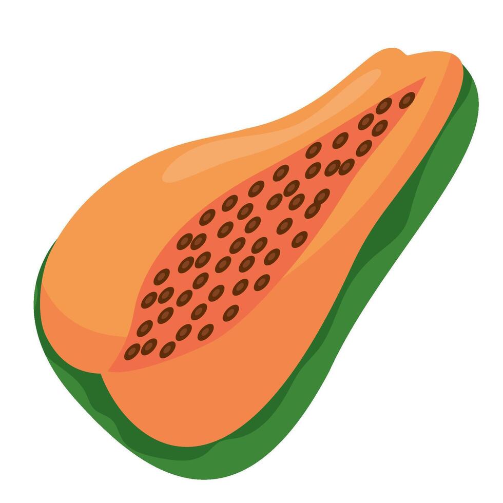 Papaya fruit icon in cartoon style vector